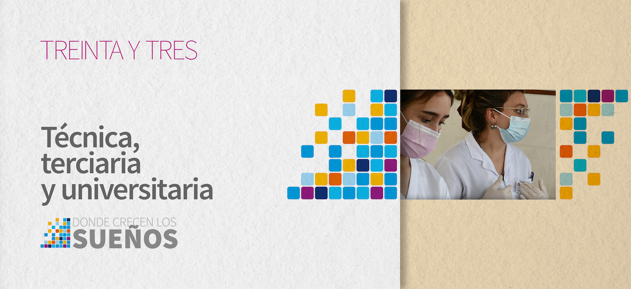 Técnica, terciaria y universitaria