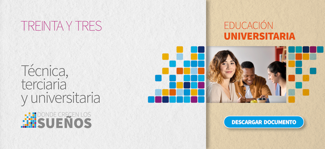 Educación universitaria